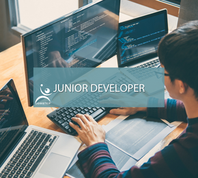 Junior developer